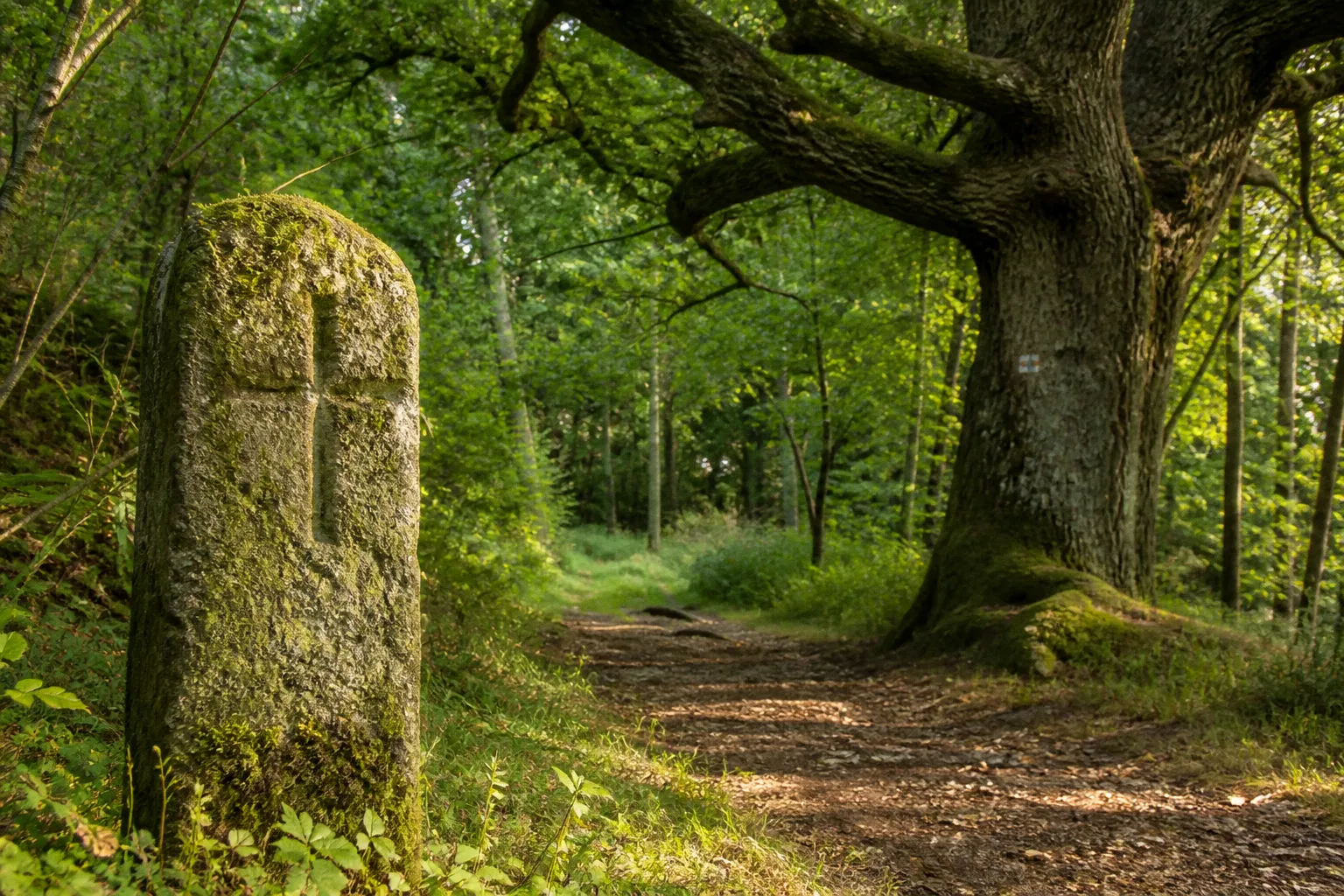 Klosterpfade im Weserbergland: Route zu historischen Spuren
