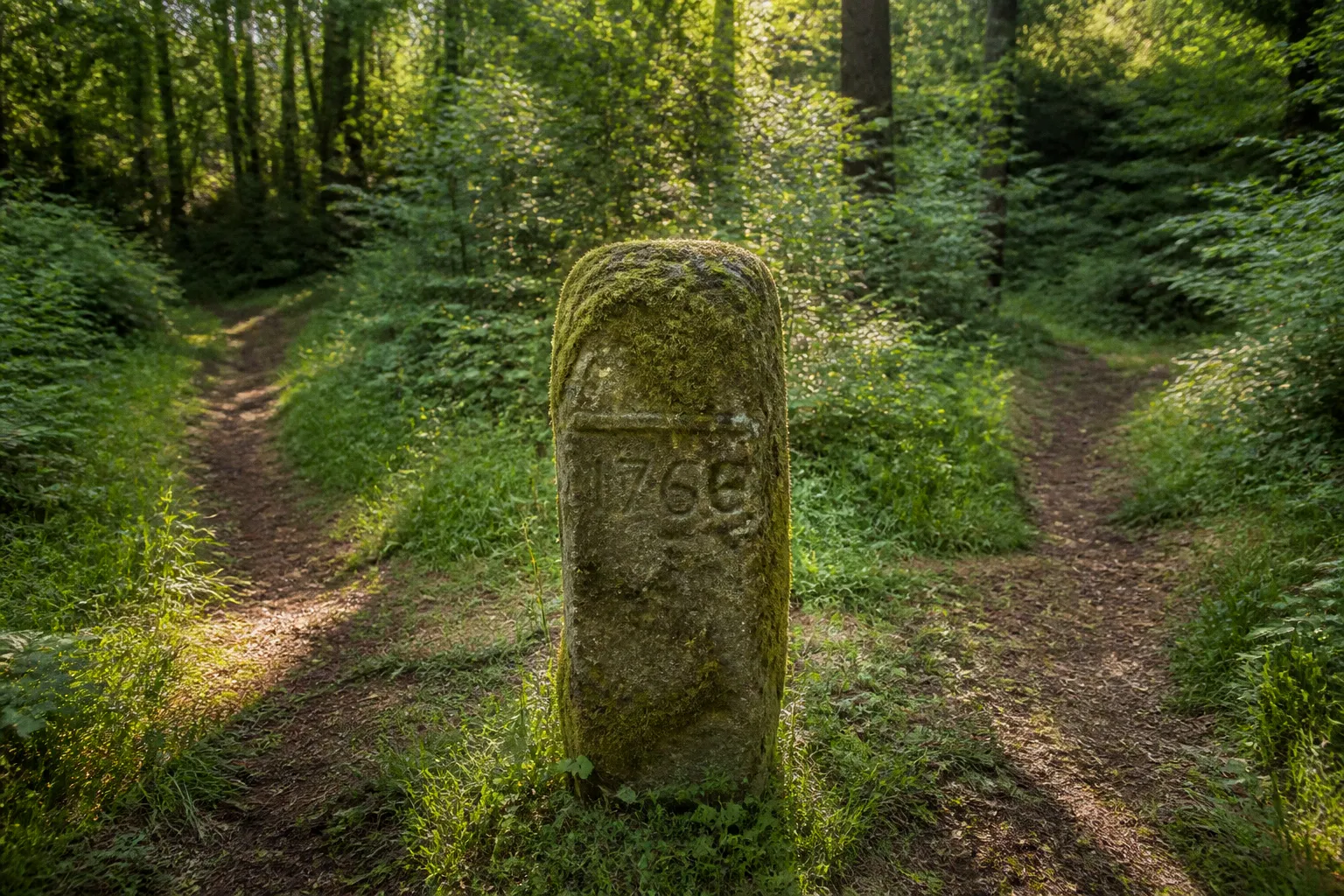 Wüstung Lakenborn: Zwei Wege zur Grabungsstätte